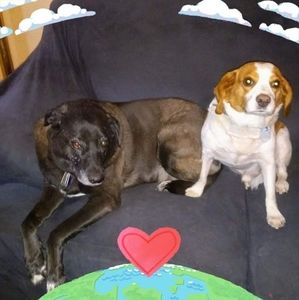 Meet your Posher, Julie